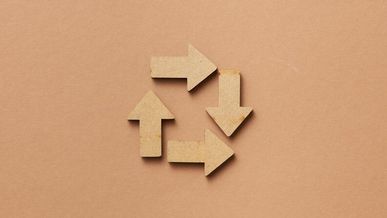 Les franchises écoresponsables : une tendance forte