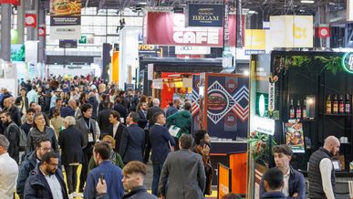 Venez sur le stand d’AfriqueFranchise.com et de GabonFranchise à Franchise Expo Paris, du 15 au 17 mars 2025, à Paris Porte de Versailles !